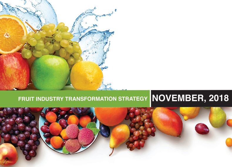 Fruit Industry Transformation Strategy 1 Dole South Africa