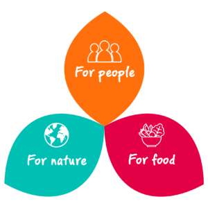 Sustainability and avocado packhouse