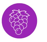 Grapes reverse white